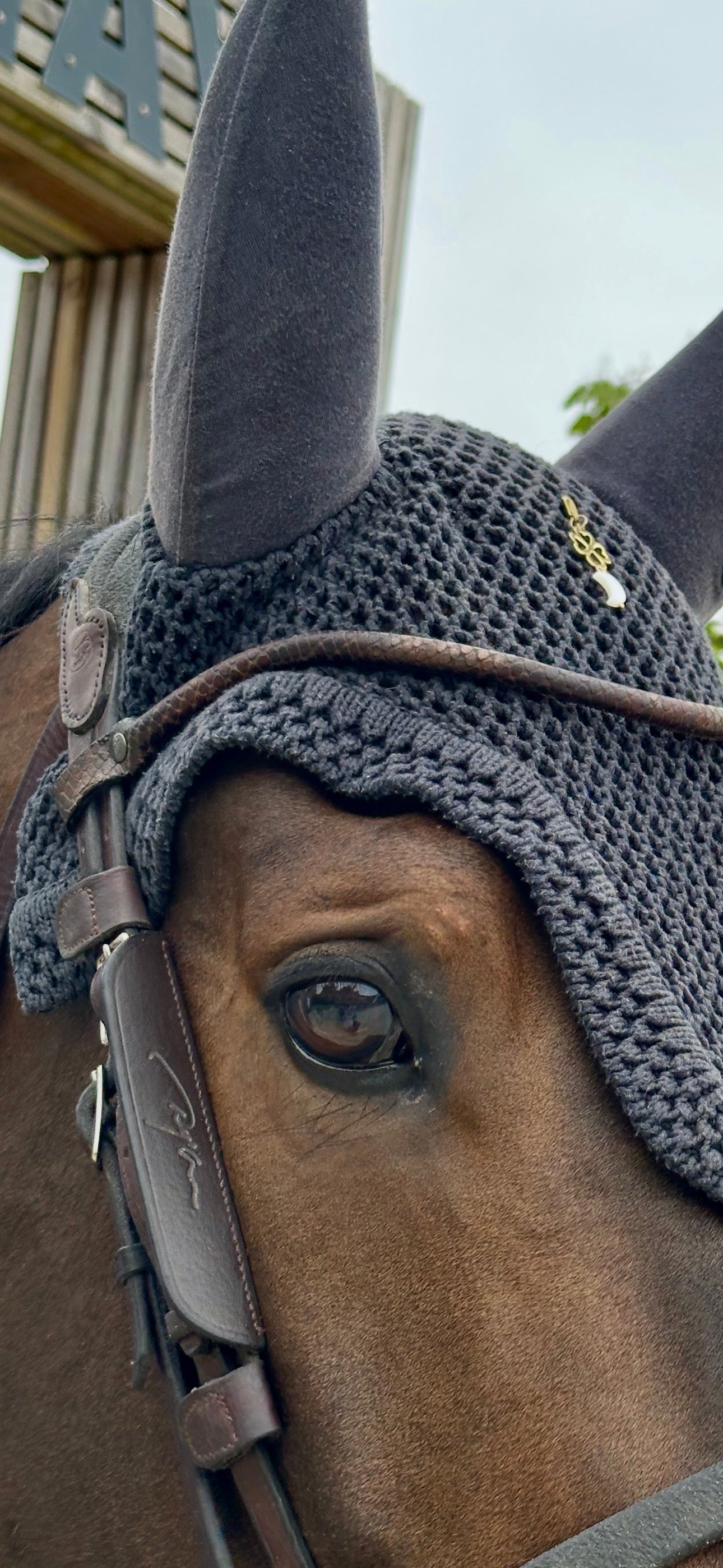 Charms trèfle